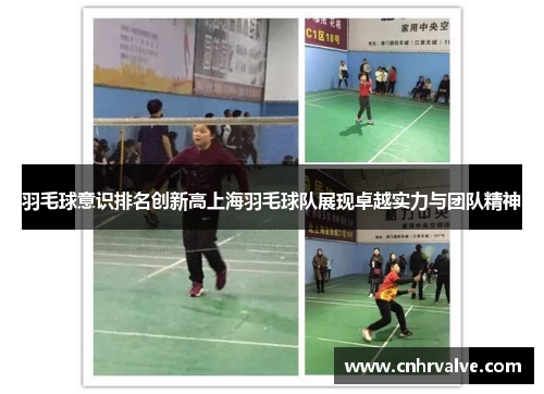 羽毛球意识排名创新高上海羽毛球队展现卓越实力与团队精神