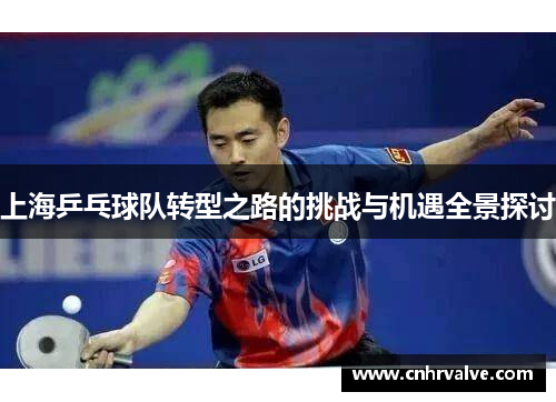 上海乒乓球队转型之路的挑战与机遇全景探讨