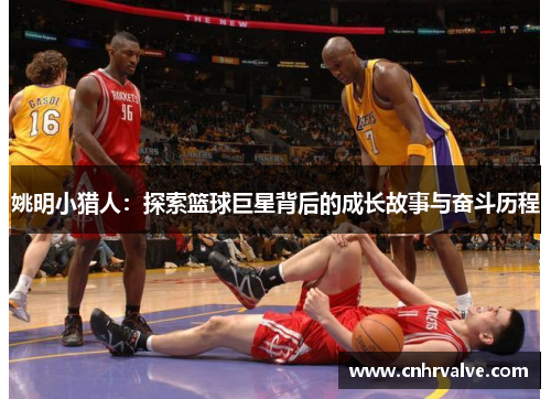 姚明小猎人：探索篮球巨星背后的成长故事与奋斗历程