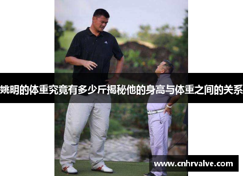 姚明的体重究竟有多少斤揭秘他的身高与体重之间的关系